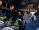 Монахи Валаама начали масштабный проект по спасению лесов архипелага